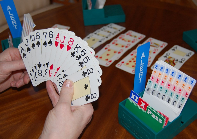 Lähikuva bridgen pelaajasta, kädessä pelikortit, pöydällä tarjouslaatikko ja lisää pelikortteja.