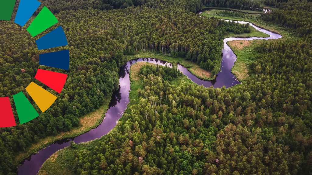 kuvituskuvassa joki metsässä