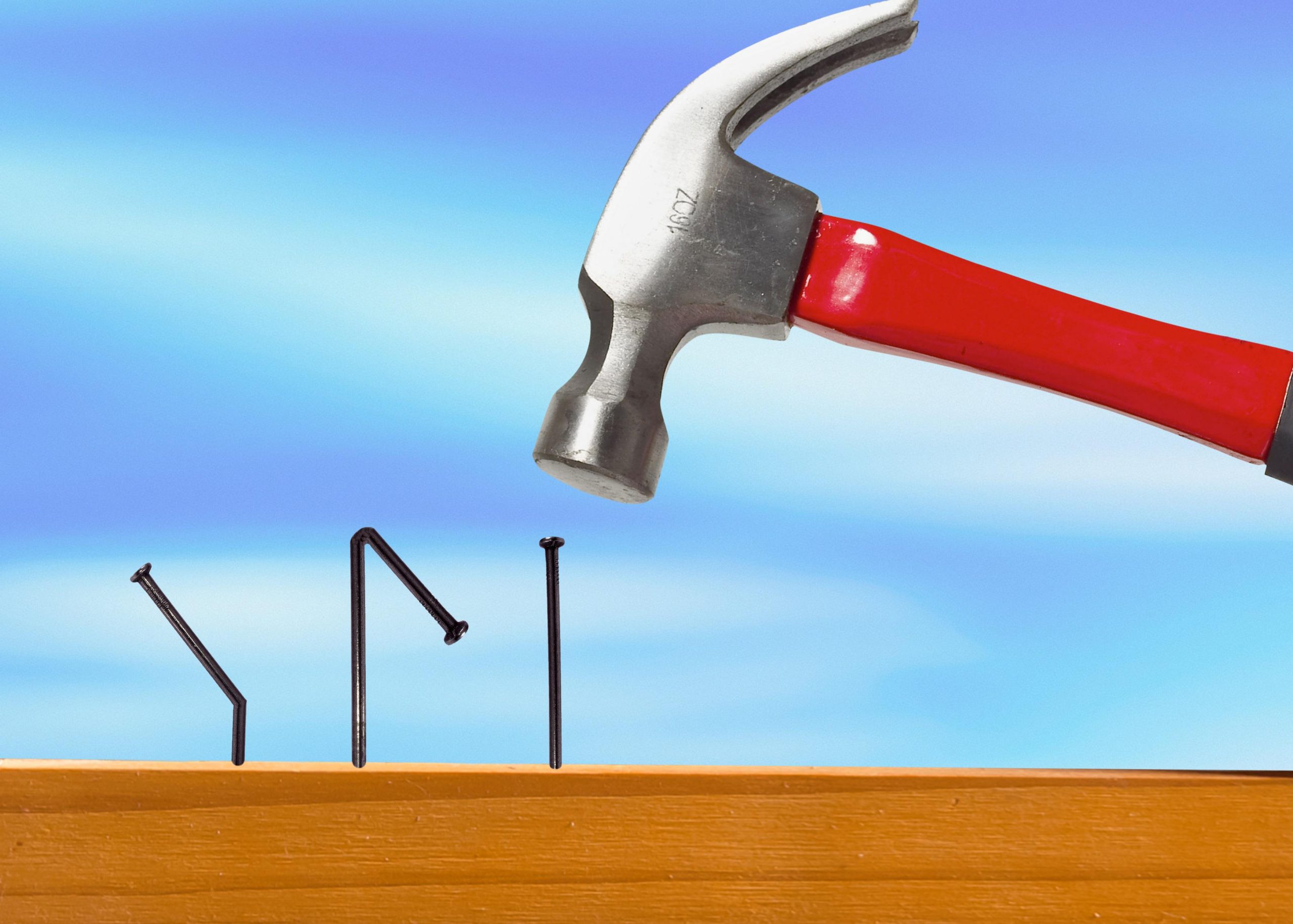 Sinnikkyys ja siihen ohjaaminen